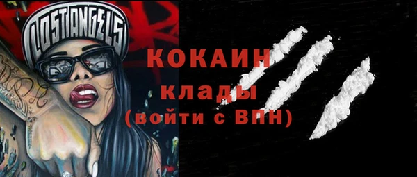 ПСИЛОЦИБИНОВЫЕ ГРИБЫ Няндома
