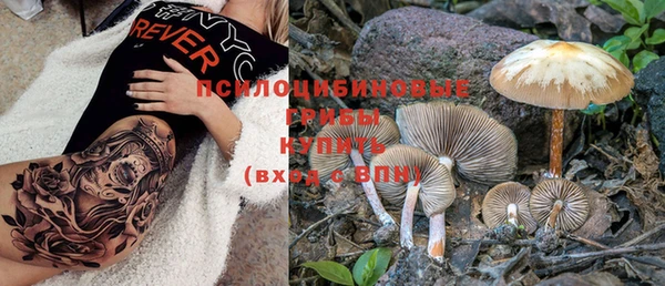 дмт Верея