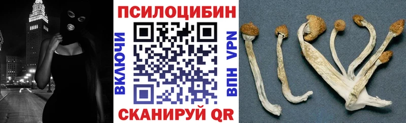 Галлюциногенные грибы мицелий  KRAKEN маркетплейс  Кемь 